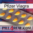 Pfizer Viagra cialis1